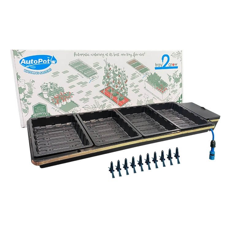Auginimo sistema Tray2Grow Auginimo sistema Tray2Grow