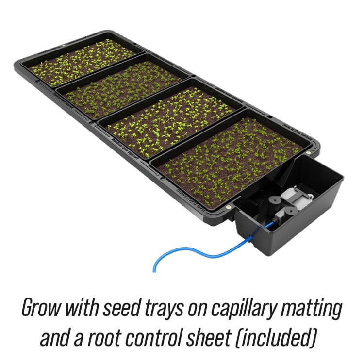 Auginimo sistema Tray2Grow Auginimo sistema Tray2Grow